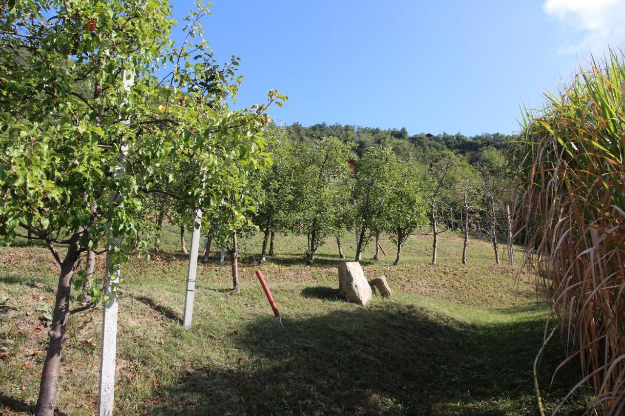 Ausserperskolerhof - Adults Only Fie allo Sciliar Ngoại thất bức ảnh