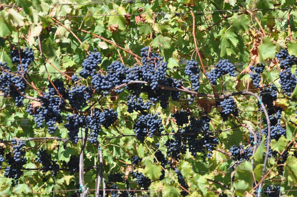 Ausserperskolerhof - Adults Only Fie allo Sciliar Ngoại thất bức ảnh